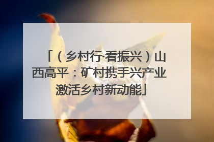（乡村行·看振兴）山西高平：矿村携手兴产业 激活乡村新动能