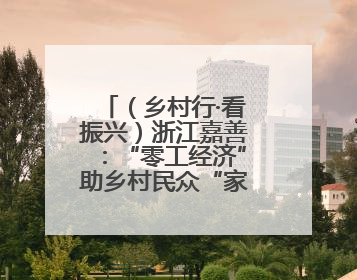 （乡村行·看振兴）浙江嘉善：“零工经济”助乡村民众“家门口”增收
