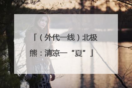 （外代一线）北极熊：清凉一“夏”