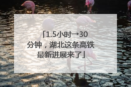 1.5小时→30分钟，湖北这条高铁最新进展来了