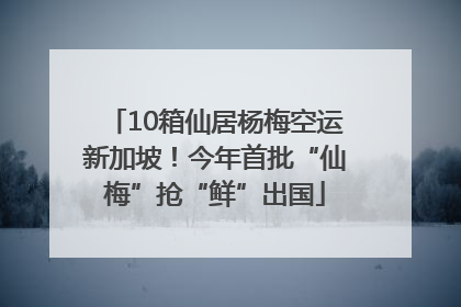 10箱仙居杨梅空运新加坡！今年首批“仙梅”抢“鲜”出国