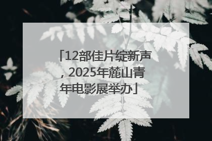 12部佳片绽新声，2025年麓山青年电影展举办
