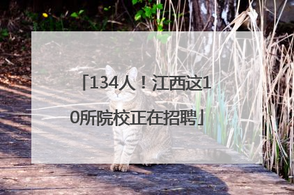 134人！江西这10所院校正在招聘