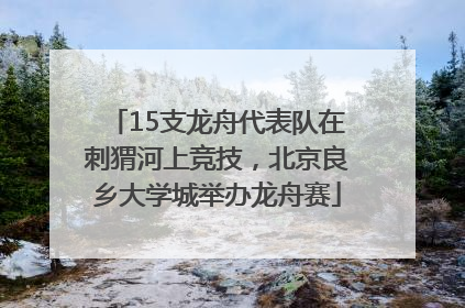 15支龙舟代表队在刺猬河上竞技，北京良乡大学城举办龙舟赛