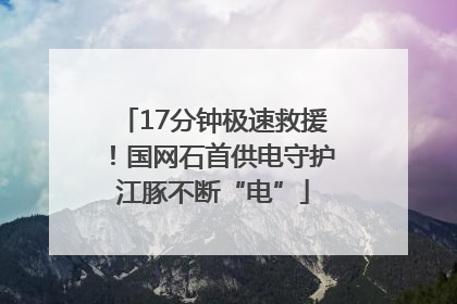 17分钟极速救援！国网石首供电守护江豚不断“电”