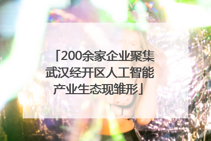 200余家企业聚集 武汉经开区人工智能产业生态现雏形
