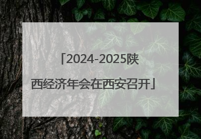 2024-2025陕西经济年会在西安召开