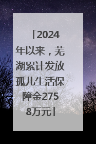2024年以来，芜湖累计发放孤儿生活保障金2758万元