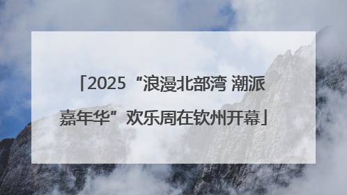 2025“浪漫北部湾 潮派嘉年华”欢乐周在钦州开幕