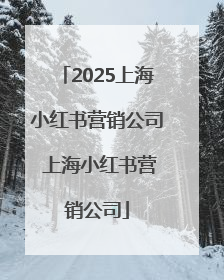 2025上海小红书营销公司 上海小红书营销公司
