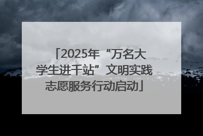 2025年“万名大学生进千站”文明实践志愿服务行动启动