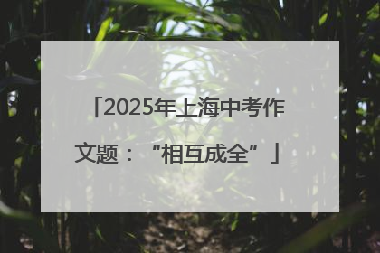 2025年上海中考作文题：“相互成全”