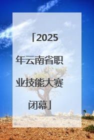 2025年云南省职业技能大赛闭幕
