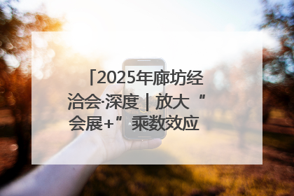 2025年廊坊经洽会·深度｜放大“会展+”乘数效应 打造消费新场景