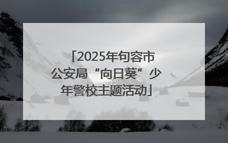 2025年句容市公安局“向日葵”少年警校主题活动