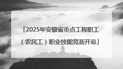2025年安徽省重点工程职工（农民工）职业技能竞赛开幕