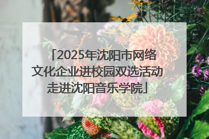 2025年沈阳市网络文化企业进校园双选活动走进沈阳音乐学院