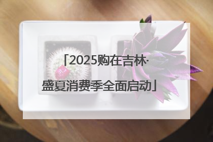 2025购在吉林·盛夏消费季全面启动