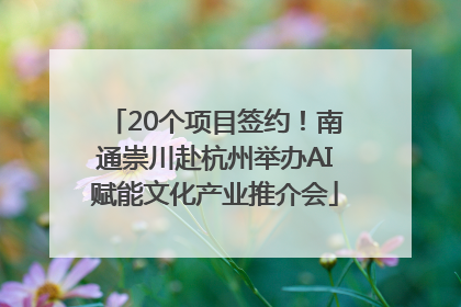 20个项目签约！南通崇川赴杭州举办AI赋能文化产业推介会