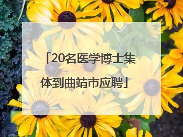 20名医学博士集体到曲靖市应聘