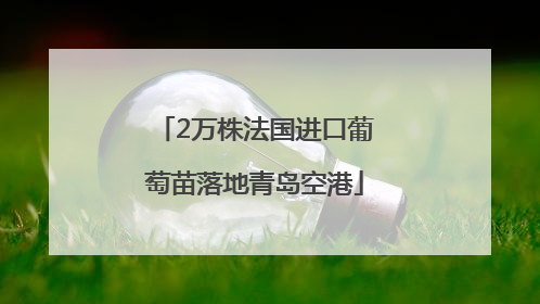 2万株法国进口葡萄苗落地青岛空港