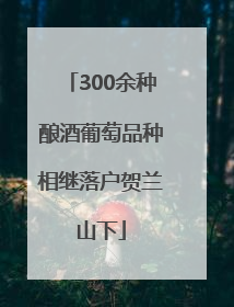 300余种酿酒葡萄品种相继落户贺兰山下