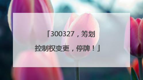 300327，筹划控制权变更，停牌！