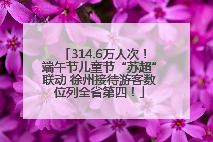 314.6万人次！端午节儿童节“苏超”联动 徐州接待游客数位列全省第四！