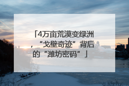 4万亩荒漠变绿洲，“戈壁奇迹”背后的“潍坊密码”