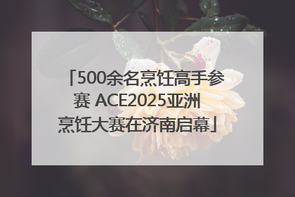 500余名烹饪高手参赛 ACE2025亚洲烹饪大赛在济南启幕