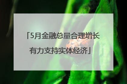 5月金融总量合理增长 有力支持实体经济