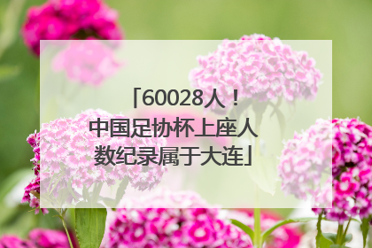 60028人！中国足协杯上座人数纪录属于大连