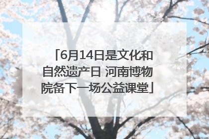6月14日是文化和自然遗产日 河南博物院备下一场公益课堂