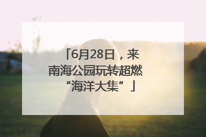 6月28日，来南海公园玩转超燃 “海洋大集”