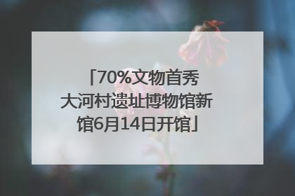 70%文物首秀 大河村遗址博物馆新馆6月14日开馆