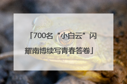 700名“小白云”闪耀南博续写青春答卷