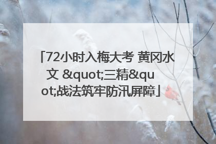 72小时入梅大考 黄冈水文 "三精"战法筑牢防汛屏障