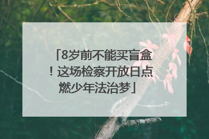 8岁前不能买盲盒！这场检察开放日点燃少年法治梦