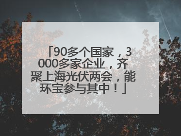 90多个国家，3000多家企业，齐聚上海光伏两会，能环宝参与其中！