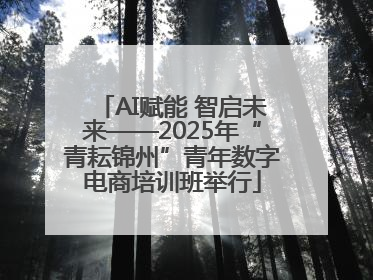 AI赋能 智启未来——2025年“青耘锦州”青年数字电商培训班举行
