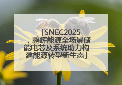 SNEC2025，鹏辉能源全场景储能电芯及系统助力构建能源转型新生态