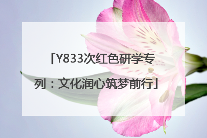 Y833次红色研学专列：文化润心筑梦前行